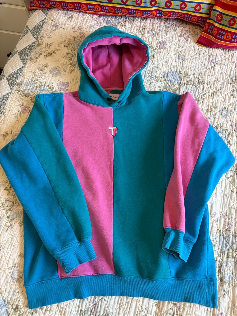 Teddy Fresh Color-block Hoodie